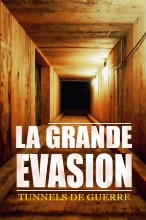 GREAT ESCAPE (2018) Hindi Dubbed [650MB]
