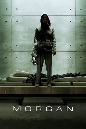 Morgan (2016) Hindi Dual Audio 300MB