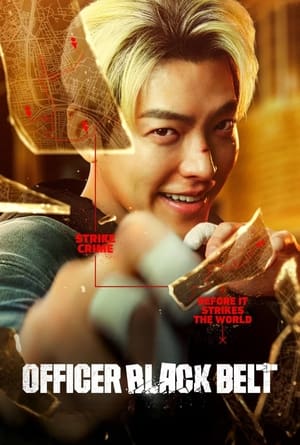 Officer Black Belt 2024 Hindi Dual Audio – – 480p