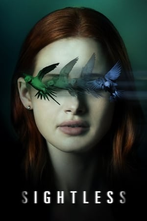 Sightless 2020 Hindi Dual Audio 300MB