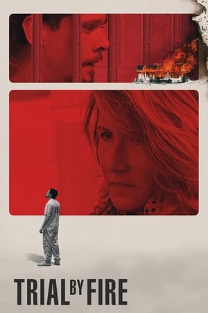 Trial by Fire 2018 Hindi Dual Audio 400MB